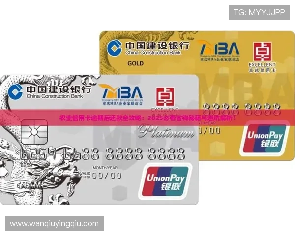 玩球让球规则避坑指南彩票高频玩法防骗解析